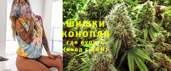 амф Михайловск